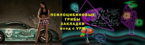 2c-b Козельск