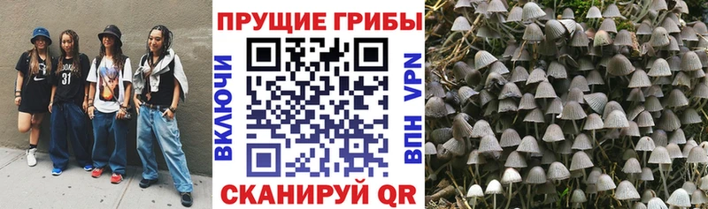 Псилоцибиновые грибы ЛСД  Купить закладки  Гусь-Хрустальный 